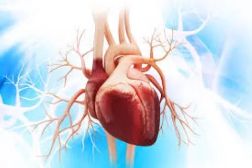 photo: Cardiotens plus - cz - názory - fórum - zkušenosti - diskuze - recenze